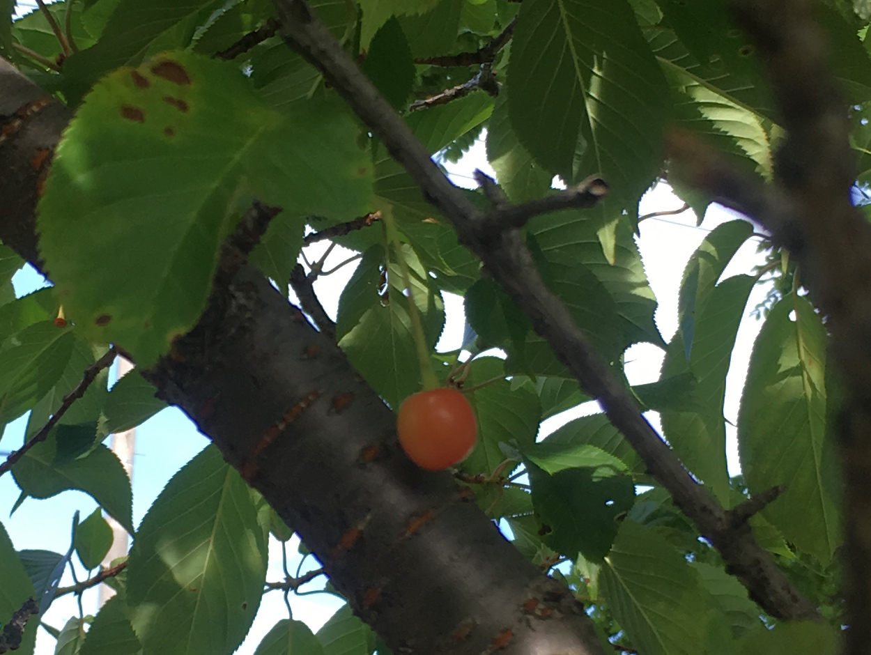 event_h30_3_9-250×188